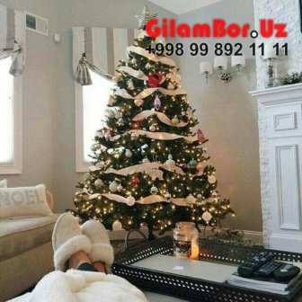  GilamBor.Uz Gilam Chinobod Toshkent Gilam Narxlari Toshkent, Metraj Gilam Narxlari, Sag Gilam Narxlari, Arzon Gilamlar, Gilam Yuvish, Palas Gilam Narxlari, Chinobod Gilam, Chinobod Gilam Narxlari, Chinobod Gilam Baza, Qibray Chinobod Gilam Bozori, Chinobod Gilam Bozori Купить Ковры В Зал 2020 Ташкент Фото Цена NarxКупить Ковры В Зал 2020 Ташкент Фото Цена Narx купить ковер в детскую комнату Ташкент фото цена narx Ташкенте Аккурганский район, Бекабадский район Зафар, Бостанлыкский район Газалкент, Букинский район, Чиназский район, Кибрайский район, Паркентский район, Пискентский район, Куйи Чирчикский район Дустобод, Орта-Чирчикский район Тойтепа, Янгиолский район Гулбахор, Юкори Чирчикский район, Янгирабатемирский район, Михрабатемский район район, Мирзо-Улугбекский район, Сергелийский район, Чиланзарский район, Шайхантаурский район, Юнусабадский район, Яккасарай, Чиланзарский район, Яшнабадская область, Akkurgan District, Bekabad District Zafar, Bostanliq District Gazalkent, Buka District, Chinaz District, Qibray District, Parkent District, Piskent District, Quyi Chirchiq District Dustobod, Orta Chirchiq District Toytepa, Yangiyol District Gulbakhor, Yukori Chirchiq District Yangibozor, Zangiata District Keles, Almazar district, Bektemir district, Mirabad district, Mirzo-Ulugbek district, Sergeli district, Chilanzar region, Shaykhantaur district, Yunusabad district, Yakkasaray district, Chilanzar district, Yashnabad region 